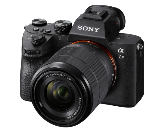 Best Mirrorless Cameras for Beginners in 2026